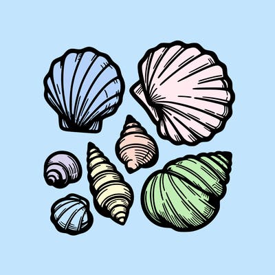 shells