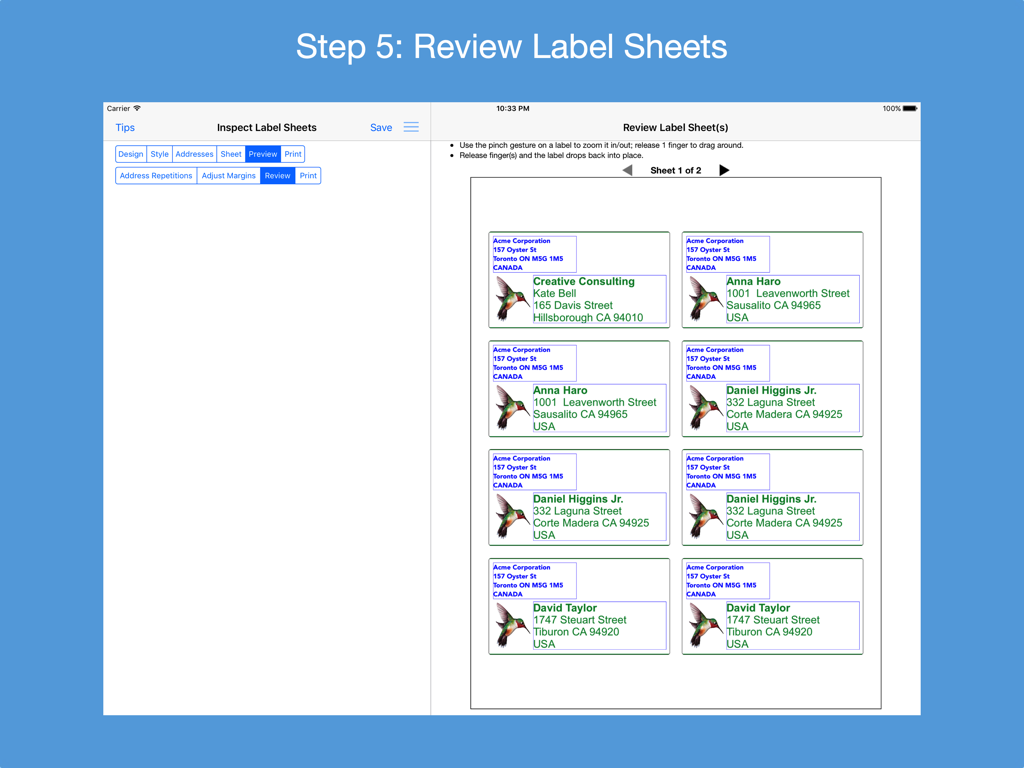 iPad screen showing a preview of a printable sheet with multiple custom address labels