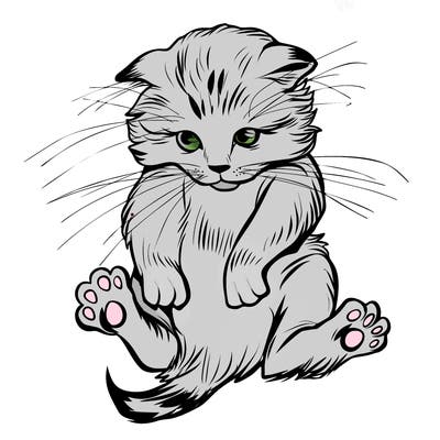 animals_20