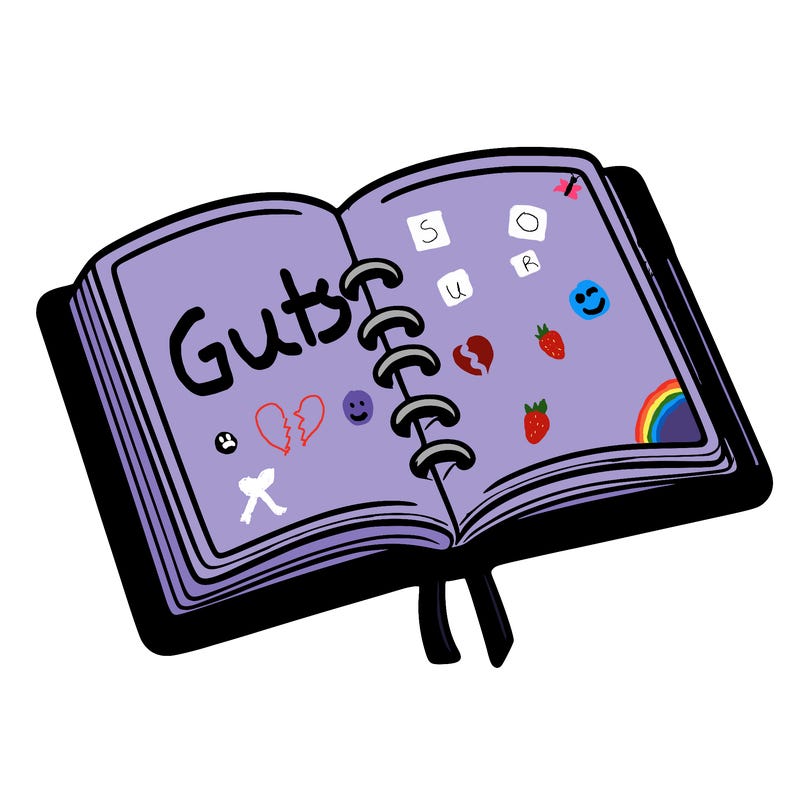 open note book blank