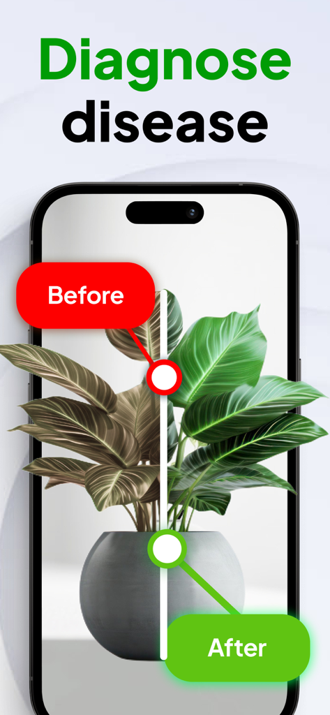 AI Plant ID - Identifier - AI Plant ID app showing a before and after plant disease diagnosis comparison on a smartphone