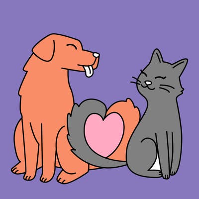 animals_22
