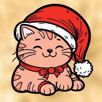 cat in christmas hat