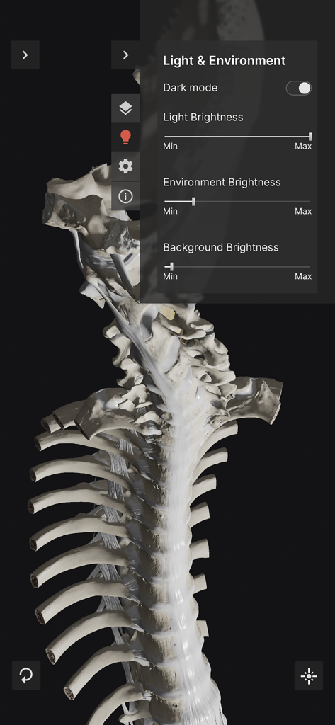 3D human spine model with light and environment settings menu overlay