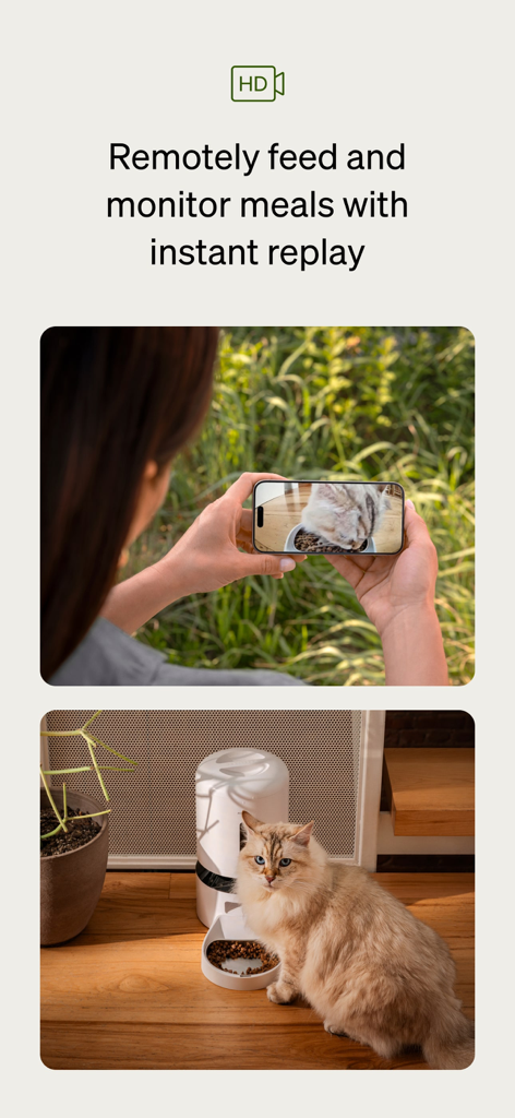 女性がPetlibroアプリを使用して、ライブHDビデオフィードでスマートフィーダーから食事をしている猫を監視しています。