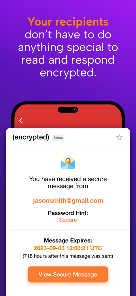 SecureMyEmail - Interface showing how a recipient can view an encrypted message sent through SecureMyEmail.