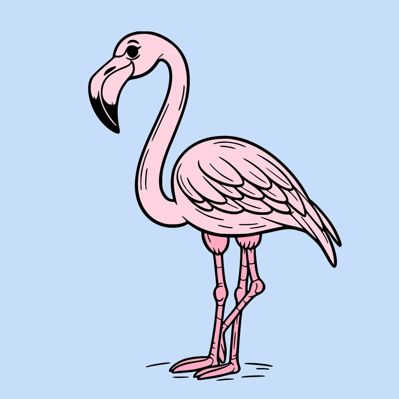 flamingo