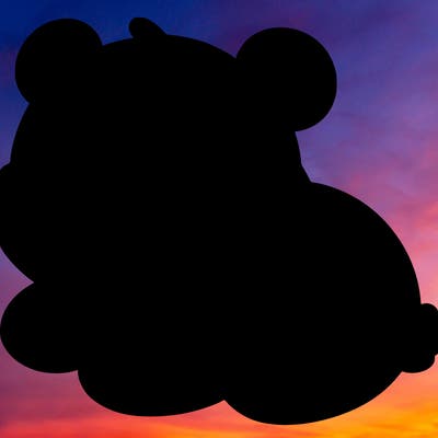 cute bear