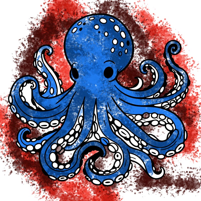 octopus