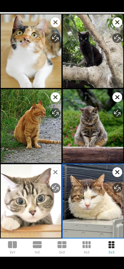 Multi Split Viewer | The Ultimate Multi-Tasking Split Screen Browser