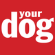 Your Dog