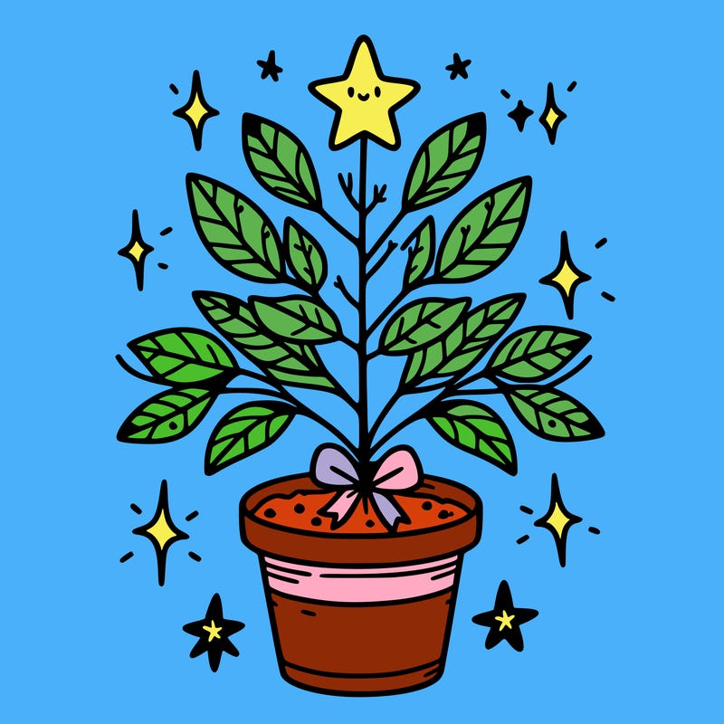christmas plant