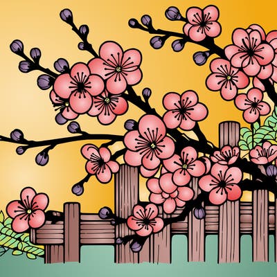 japan cherry blossom