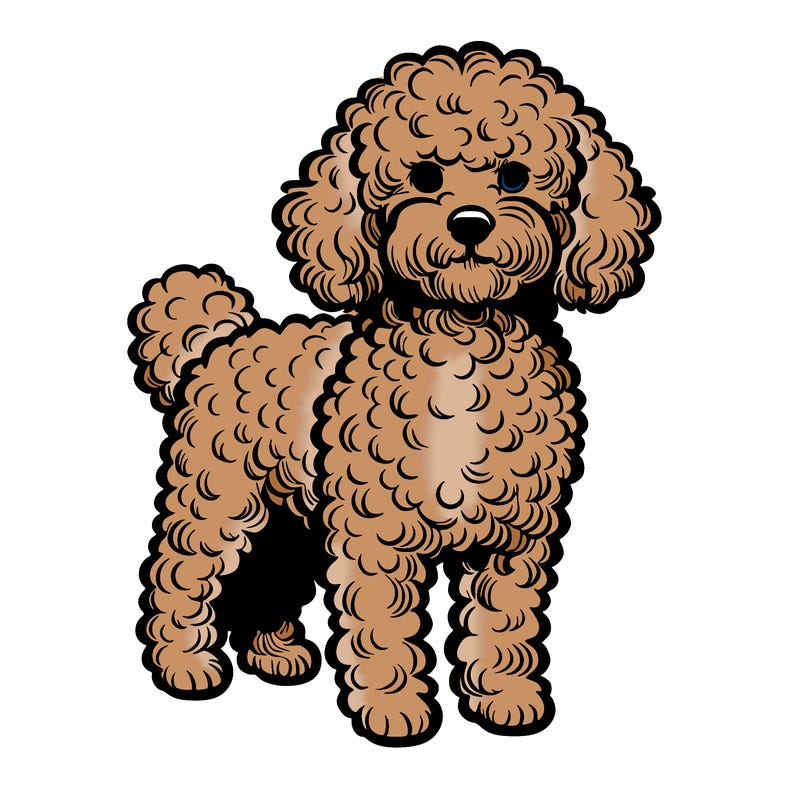 a realistic curly haired dog