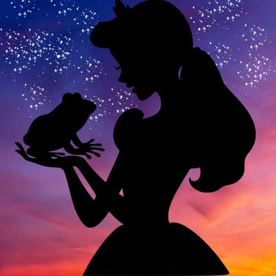a shadow of a princess holding a frog realistic