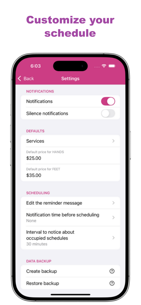Nail Tech Appointment App settings menu showing customization options for notifications, service prices, and scheduling reminders.