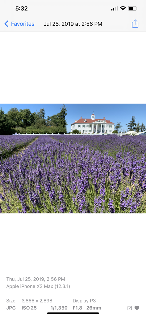 Photo Albums and Widget - Mobile app interface displaying detailed EXIF metadata including ISO and shutter speed for a photo of a lavender field.