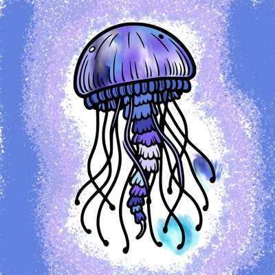 jellyfish