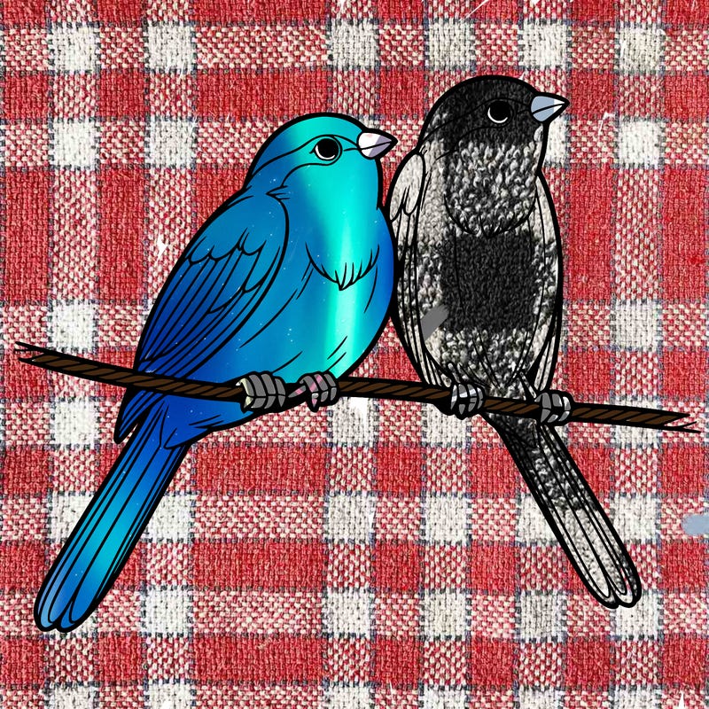 two realistic birds on a wire