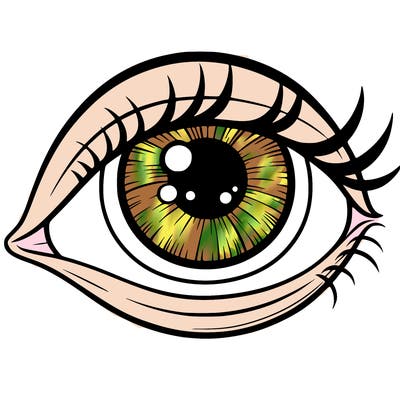 eye