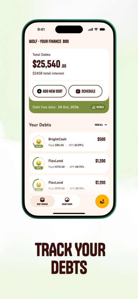 Oberfläche der Wolf Processing App, die ein Schulden-Tracker-Dashboard mit Gesamt-Schuldbeträgen und Rückzahlungsplänen anzeigt