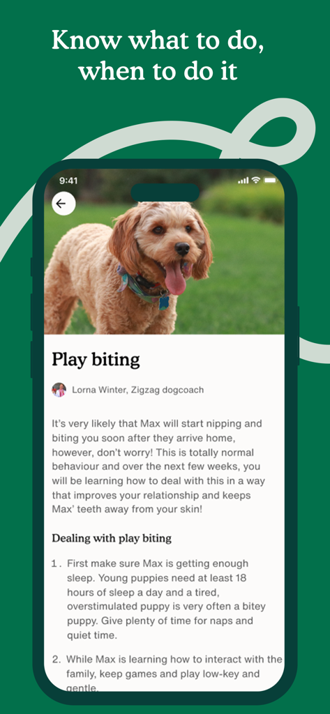 Zigzag - Dog & Puppy Training - Smartphone screen displaying a Zigzag puppy training lesson on how to manage play biting with expert advice and a picture of a happy dog.