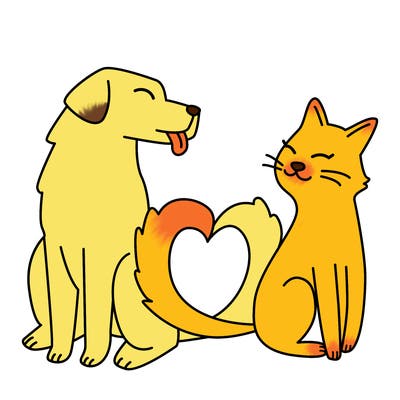 animals_22