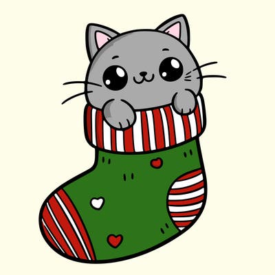cute cat in a sock