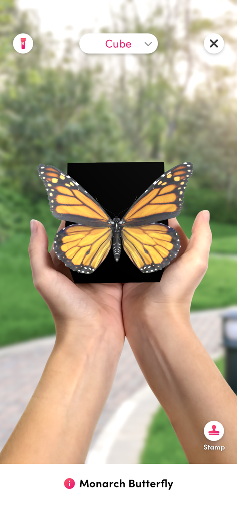 Merge Object Viewer - Un papillon monarque en réalité augmentée 3D affiché sur un cube Merge tenu par deux mains