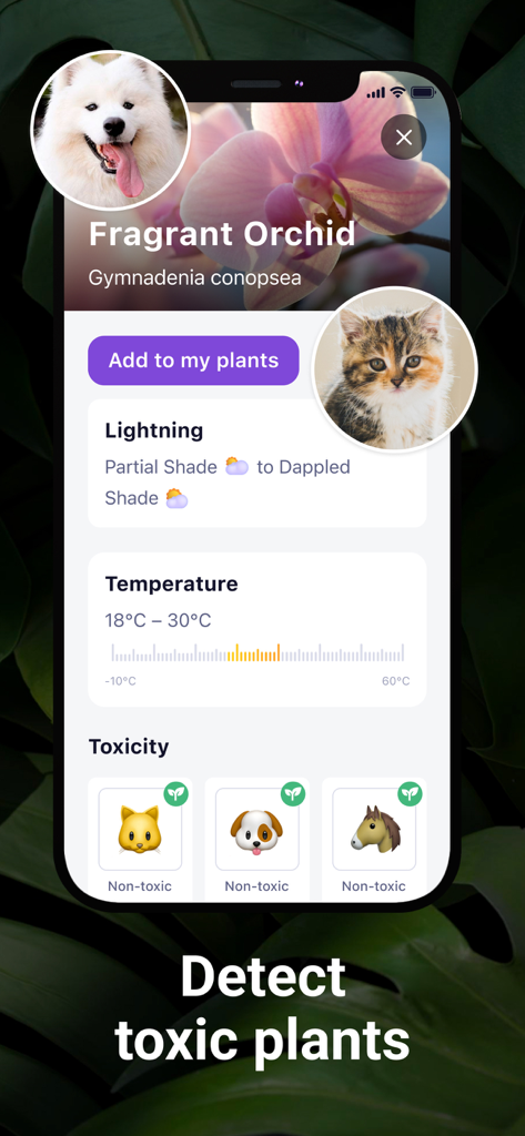 AI Plant Identifier・Care－Lily - AI Plant Identifier Lily app screen showing toxic plant detection and pet safety information for a Fragrant Orchid.