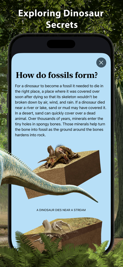 World of Dinosaurs - Educational infographic from the World of Dinosaurs app explaining how fossils form with illustrations of a dinosaur by a stream.