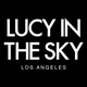 Lucy in the Sky Store