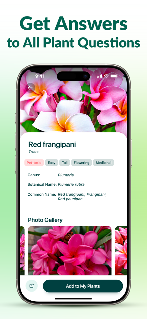 Plantum - AI Plant Identifier - Captura de tela do aplicativo Plantum mostrando resultados detalhados de identificação para uma planta de Frangipani Vermelha, incluindo seu nome científico e tags de cuidados