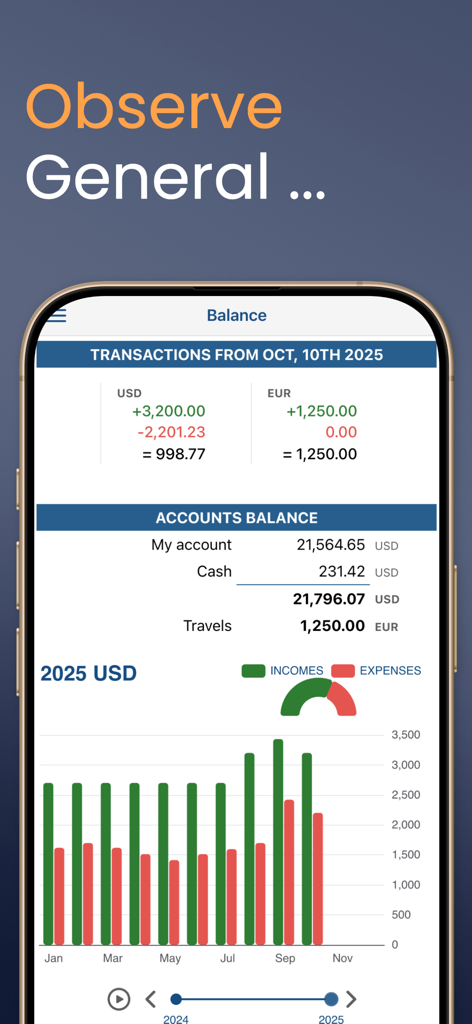My treasury - Financial dashboard in the My treasury app showing account balances in USD and EUR alongside a bar chart comparing monthly incomes and expenses