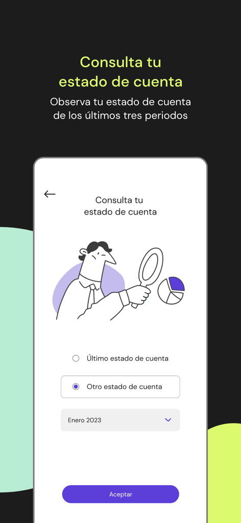 Efevoo Pay - Efevoo Pay mobile screen for viewing monthly account statements.