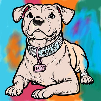 american pitbull with collar that says bailey