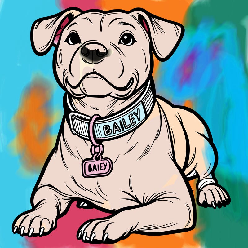 american pitbull with collar that says bailey