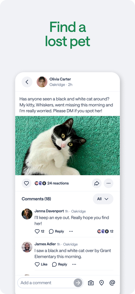 Nextdoor app interface showing a neighbor post to find a lost cat with community comments