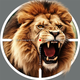 Animal Shooting: Wild Hunter