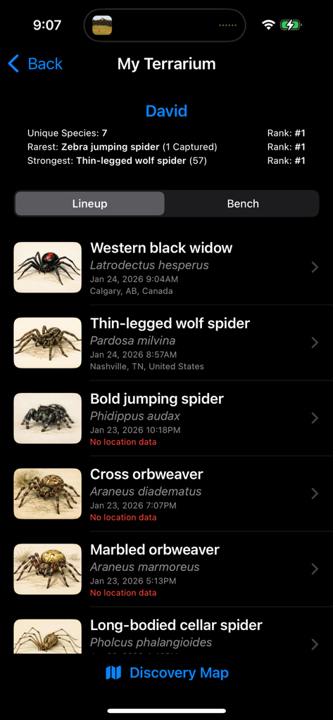 Spider League: Arena - A digital collection of captured spiders in the My Terrarium screen including species names and capture rankings.