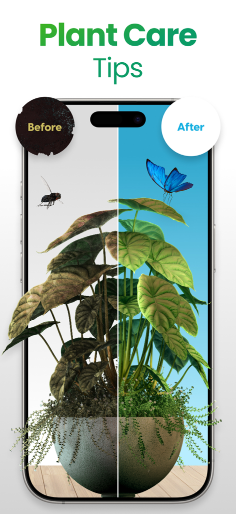 Plant App: Plant Identifier - A split screen comparison on a mobile phone showing a dying plant labeled before and a healthy plant labeled after to illustrate the benefits of plant care tips.