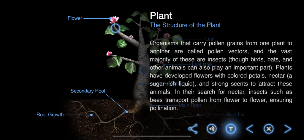 Earth and Science - 地球と科学アプリで、根、葉、花を示す植物構造のインタラクティブな図。