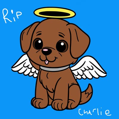 a dog with a halo and angel wings