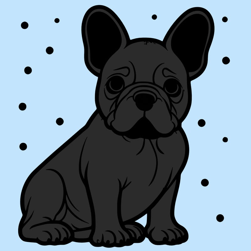 french bulldog