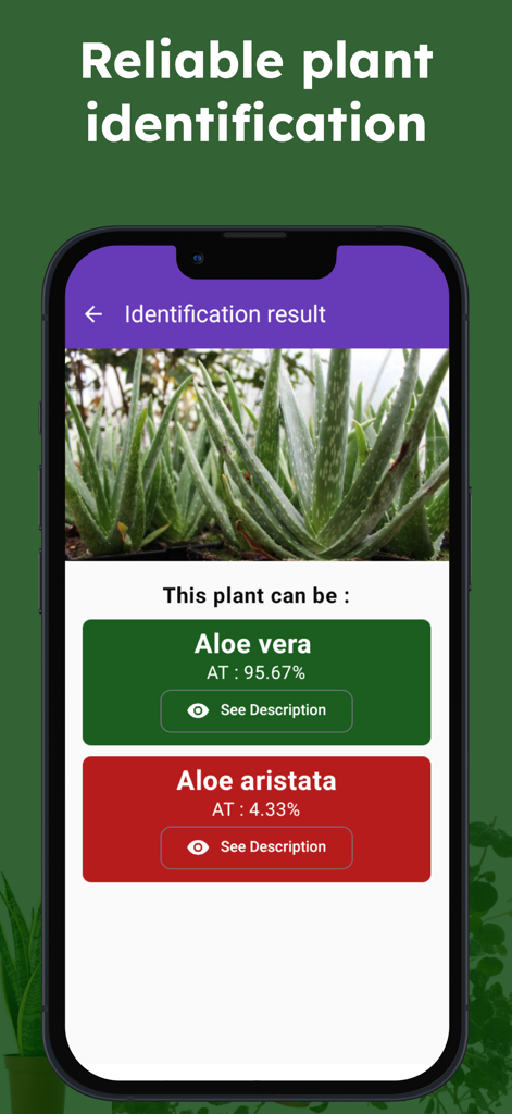 Medicinal herbs identification - Pantalla de la aplicación móvil que muestra un resultado de identificación confiable para una planta de Aloe Vera.
