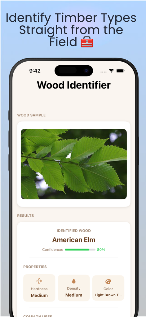 Wood Identifier AI Scanner - Mobile app interface of Wood Identifier AI Scanner showing the identification of American Elm with details on hardness, density, and color.