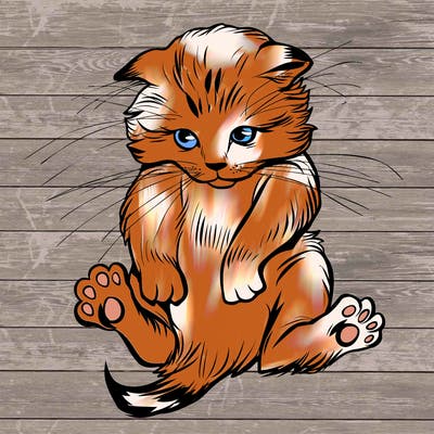 animals_20