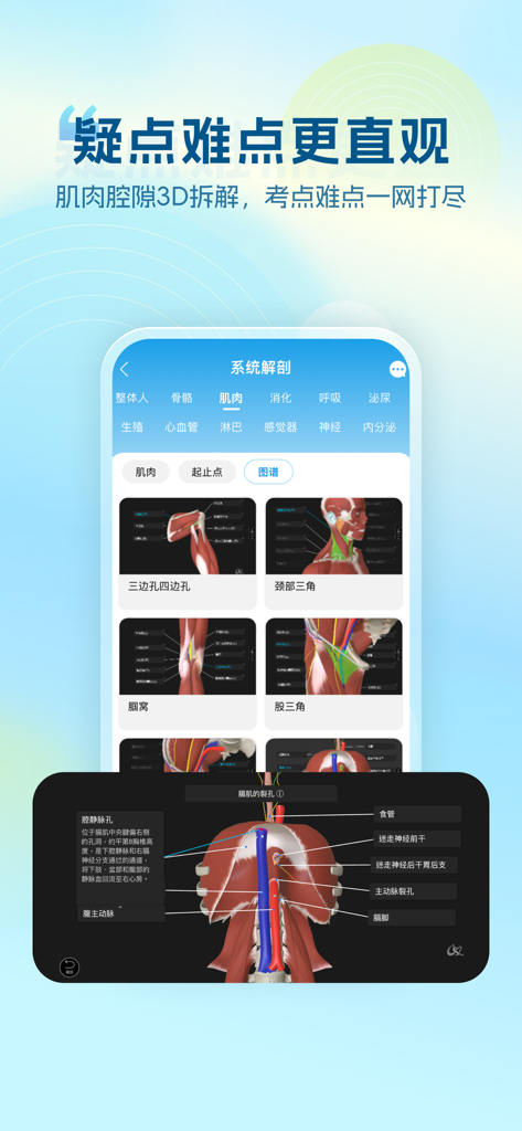 维萨里3D解剖-2024开学必备解剖工具 - Interfaz de Anatomía 3D Vesalius mostrando módulos de disección muscular y un modelo 3D etiquetado del diafragma humano.