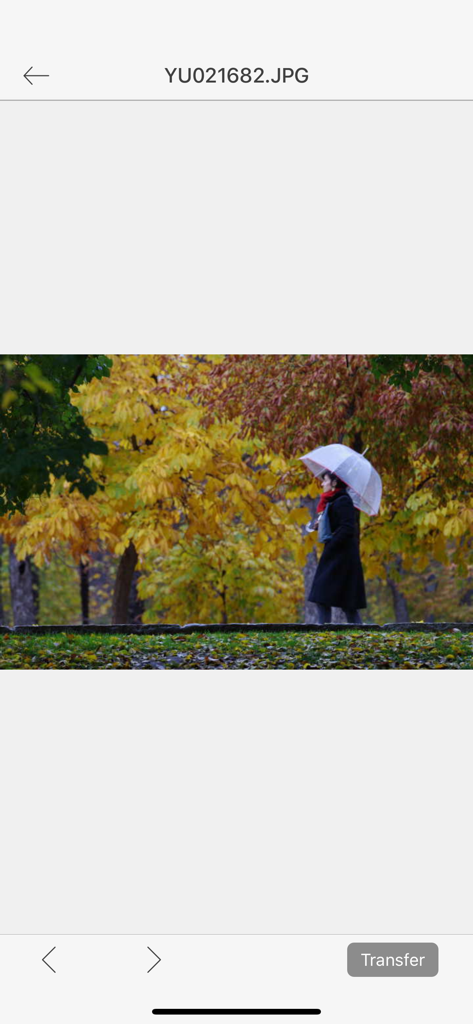 Previewing a professional camera photo in the Image Sync app