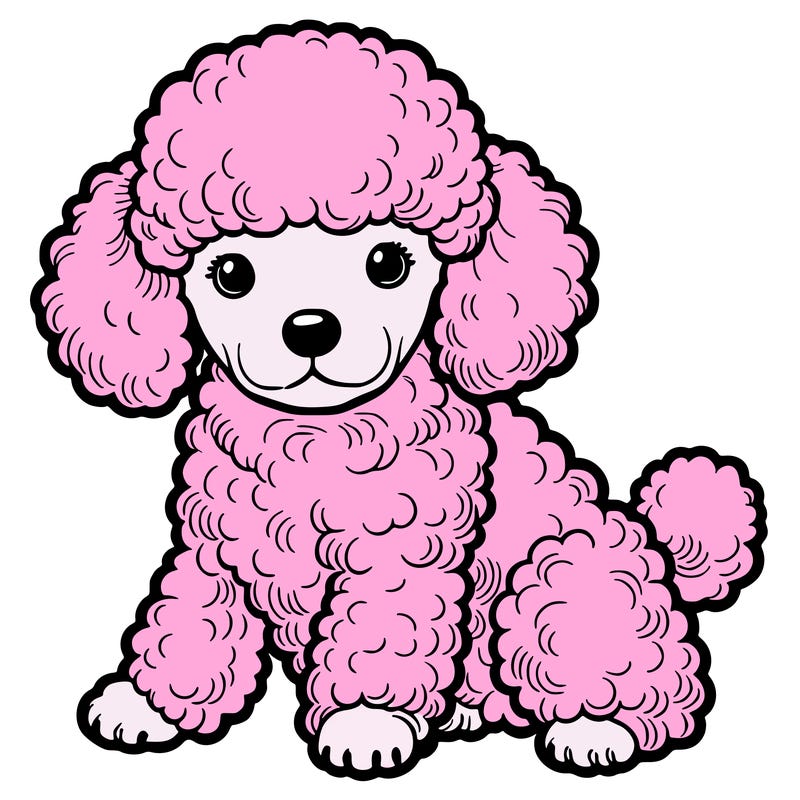 poodle puppy realistic